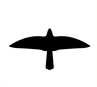 3522.E0.png