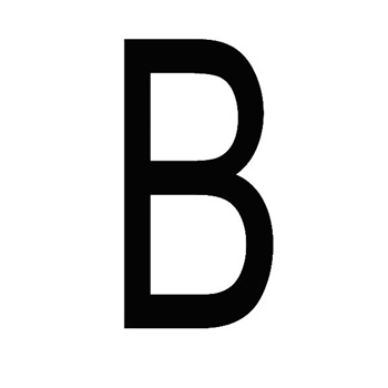 9133bzw.jpg