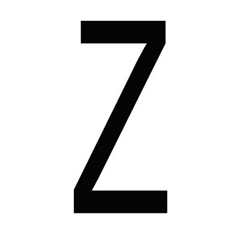 9133zzw.jpg