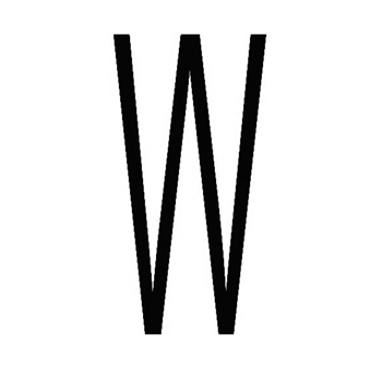 9133wzw.jpg
