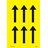 150.MP089PYL.png