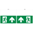 150.3172.P4PL.png