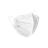 600.FFP2 2.png